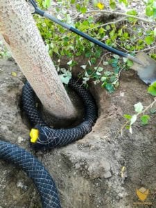 drenaz-i-doprowadzenie-powietrza-do-przysypanych-korzeni