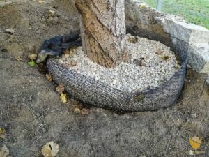 drenaż-i-dostarczanie-powietrza-korzeniom