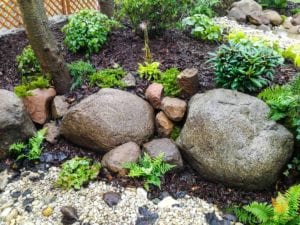 paprotki-wsrod-mokrych-glazow-granitowych