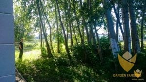 teren przed budową ogrodu