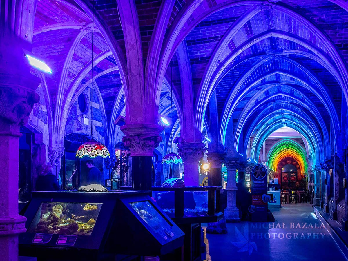 gotyckie wnetrze w polaczeniu z nowoczesnym oswietleniem led