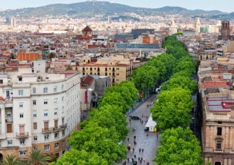 Zielona oś w mieście