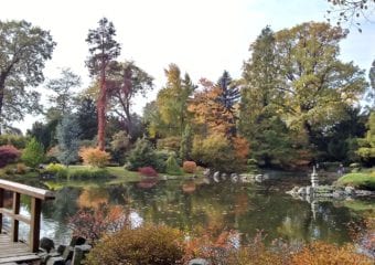 Ogród japoński jesienią