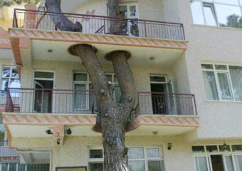 Architektura w starciu z przyrodą