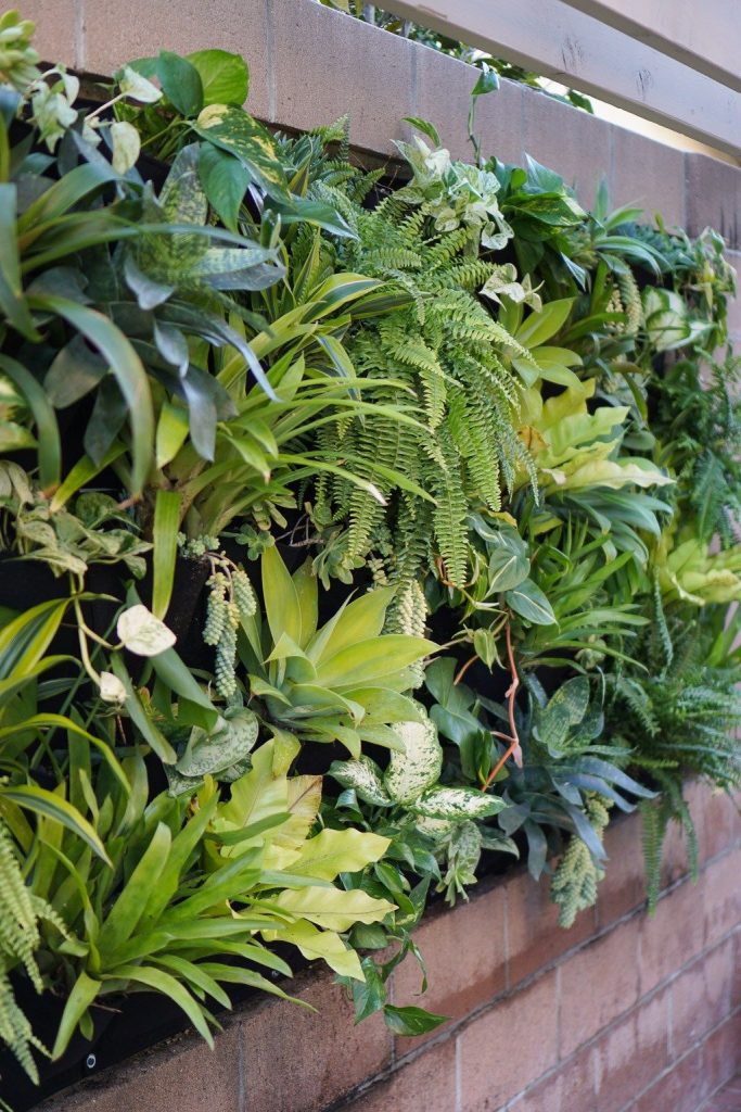 Ogród wertykalny w biurze