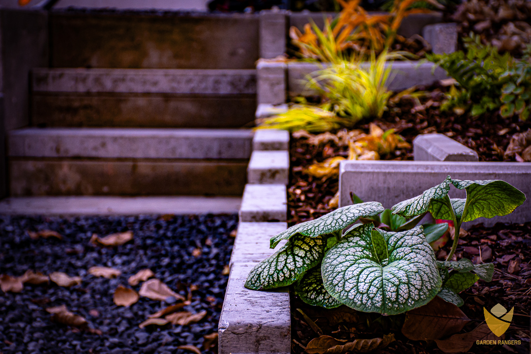 Geometryczny układ linii łączy schody i rabatę kwiatową w spójną całość