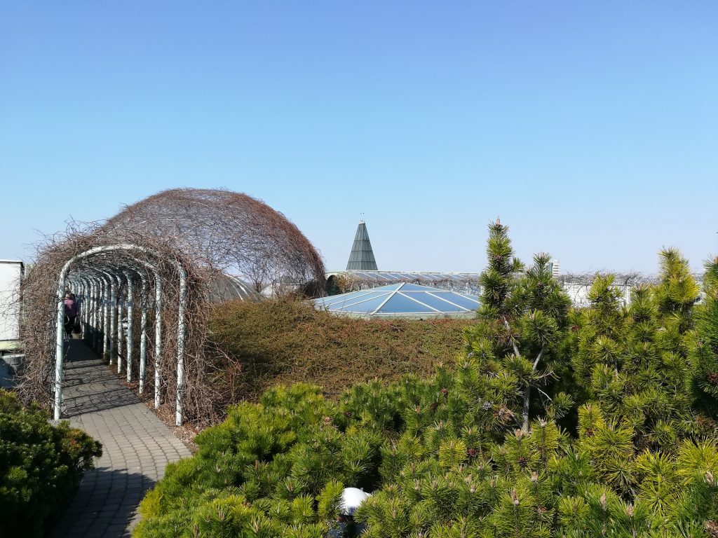 Intensywny ogród na dachu