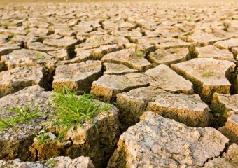 Spękana, sucha gleba