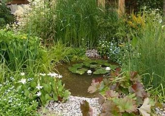 Aranżacja nad oczkiem wodnym