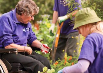 Aktywności związane z ogrodnictwem